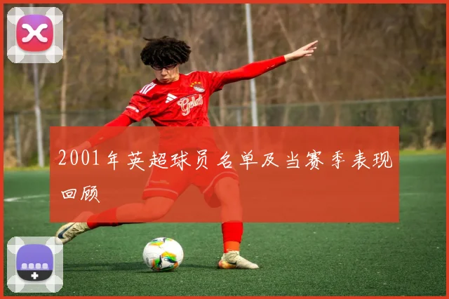 2001年英超球员名单及当赛季表现回顾