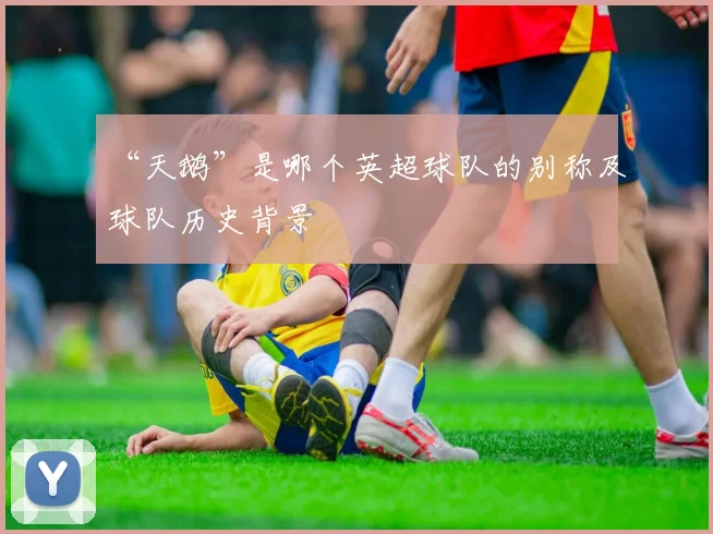 “天鹅”是哪个英超球队的别称及球队历史背景