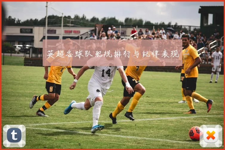 英超各球队犯规排行与纪律表现