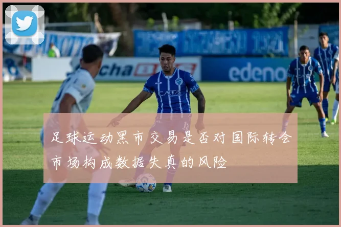 足球运动黑市交易是否对国际转会市场构成数据失真的风险