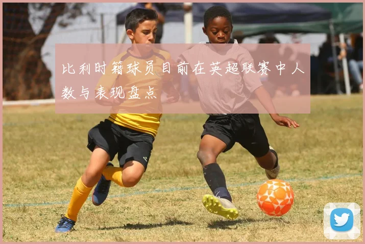 比利时籍球员目前在英超联赛中人数与表现盘点