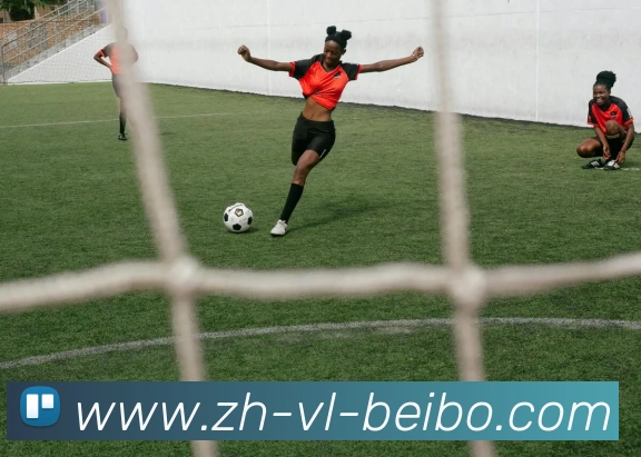 BB体育下载平台生态图