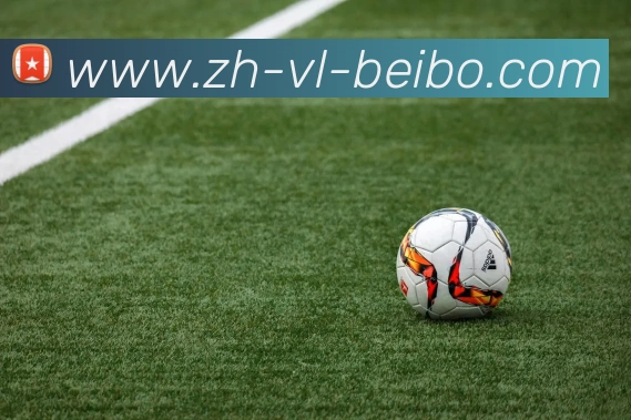 BB体育下载全站App